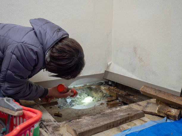 Cheney, WA Mold Removal Company