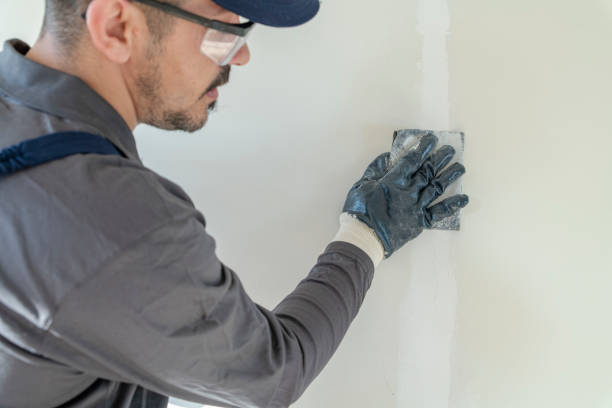 Best Emergency Mold Remediation  in Cheney, WA